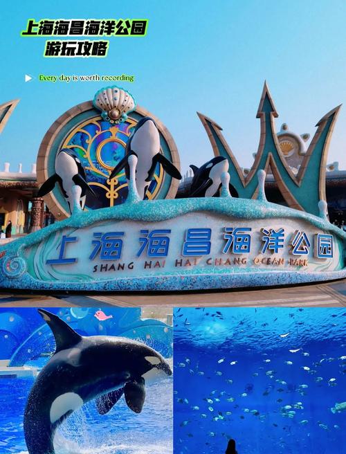 上海15天内的天气预报，查看上海市15天之内天气预报？-第5张图片-优品飞百科