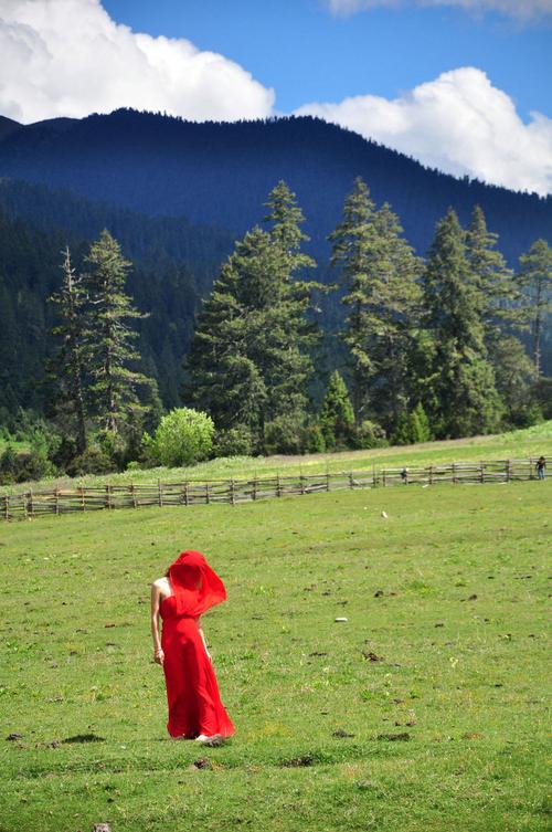 鲁朗天气预报？鲁朗天气预报一周天气？-第2张图片-优品飞百科