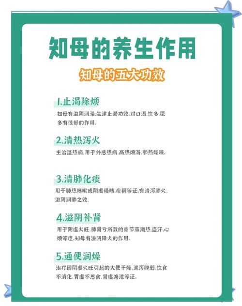 知母的养殖方法和注意事项？知母的作用和功效是什么?？-第1张图片-优品飞百科