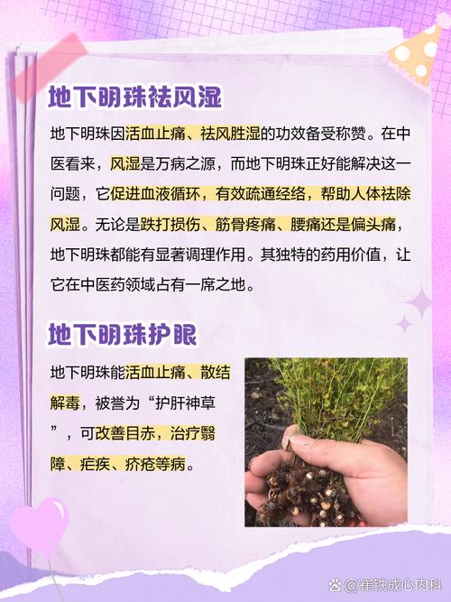 茅膏菜的功效和作用？茅膏菜的功效和作用及禁忌？-第5张图片-优品飞百科