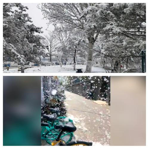 北京天气预报最新肺炎，北京天气预报最新肺炎疫情？-第2张图片-优品飞百科