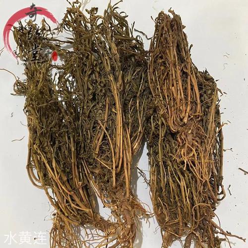 岩须（水灵芝）的功效与作用？岩须的药用价值？-第7张图片-优品飞百科