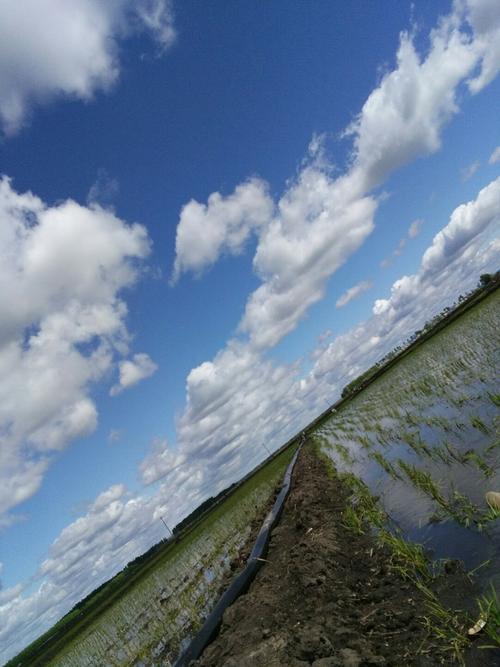 绥化天气预报天气30天，绥化天气预报15天气预报-第3张图片-优品飞百科