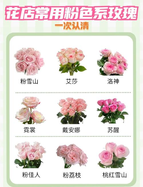 玫瑰品种有哪些，玫瑰图片？玫瑰品种及图片名称？-第3张图片-优品飞百科