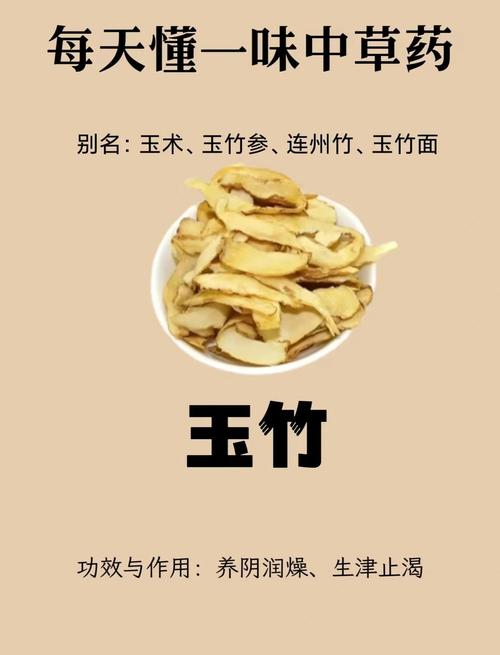 玉竹费用，玉竹图片，玉竹费用最新行情玉竹价？-第6张图片-优品飞百科