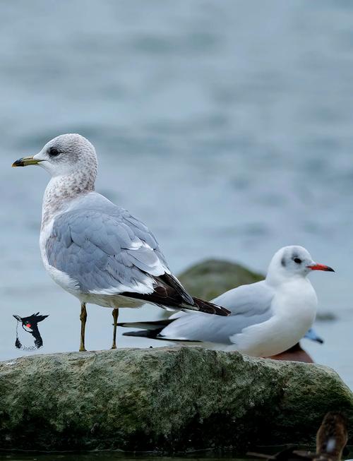 海港天气预报？海港天气预报30天查询？-第4张图片-优品飞百科