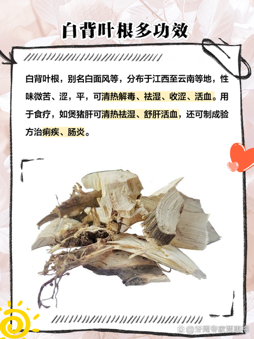 白背叶的功效与作用，白背叶的功效与作用及禁忌-第4张图片-优品飞百科