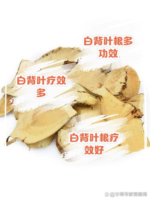 白背叶的功效与作用，白背叶的功效与作用及禁忌-第6张图片-优品飞百科