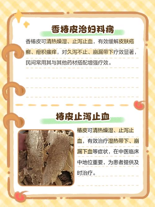 椿树皮的功效与作用，椿树皮的功效与作用及药用价值-第1张图片-优品飞百科