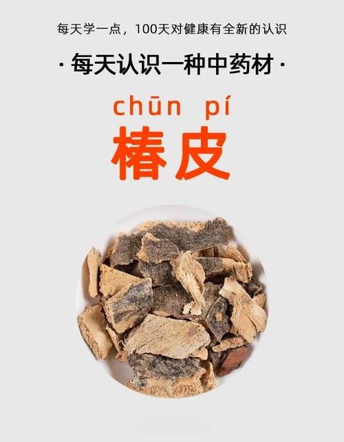 椿树皮的功效与作用，椿树皮的功效与作用及药用价值-第3张图片-优品飞百科