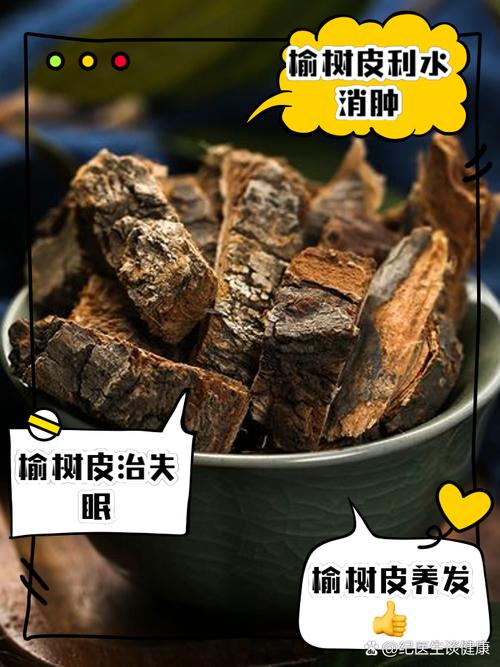 椿树皮的功效与作用，椿树皮的功效与作用及药用价值-第5张图片-优品飞百科