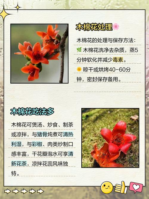 木棉花有毒吗，木棉花有毒吗?可以在室内养吗?？-第2张图片-优品飞百科