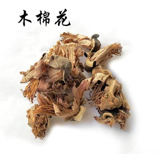 木棉花有毒吗，木棉花有毒吗?可以在室内养吗?？-第7张图片-优品飞百科