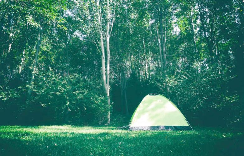 天气预报平乡?天气预报平乡县24小时?-第2张图片-优品飞百科 天气预报平乡?天气预报平乡县24小时?-第2张图片-优品飞百科