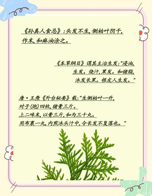 侧柏叶的功效与作用,何首乌的功效与作用-第3张图片-优品飞百科 侧柏叶的功效与作用,何首乌的功效与作用-第3张图片-优品飞百科