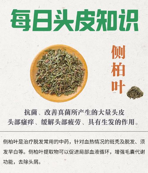 侧柏叶的功效与作用,何首乌的功效与作用-第4张图片-优品飞百科 侧柏叶的功效与作用,何首乌的功效与作用-第4张图片-优品飞百科