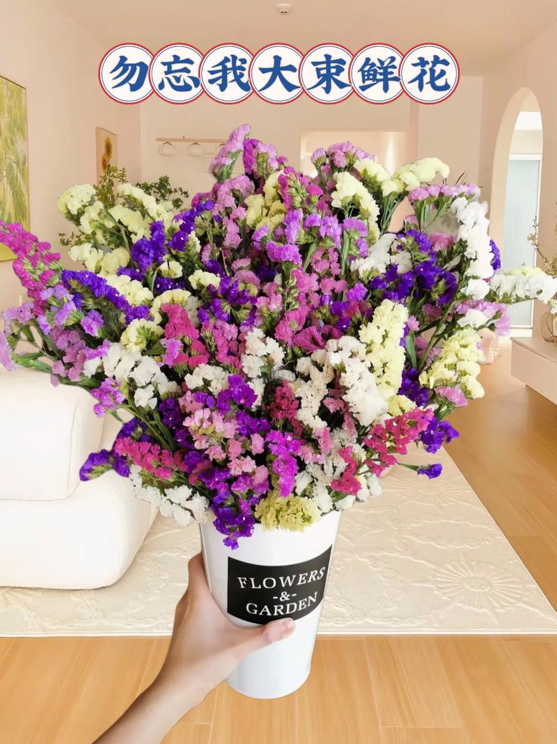 勿忘我可以放在卧室吗？勿忘我能放在卧室里吗？-第3张图片-优品飞百科