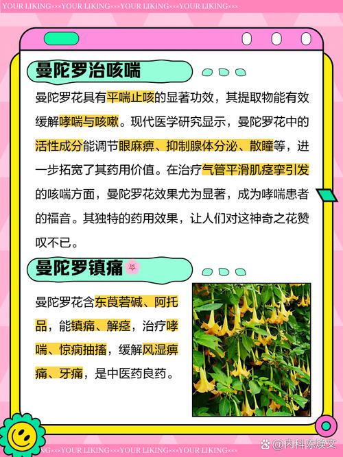 曼陀罗花的功效与作用，曼陀罗花图片，曼陀罗花的功效与用法？-第2张图片-优品飞百科