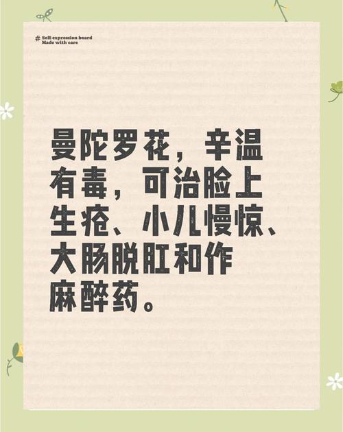 曼陀罗花的功效与作用，曼陀罗花图片，曼陀罗花的功效与用法？-第6张图片-优品飞百科