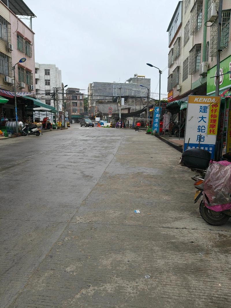 四会市天气预报，四会市天气预报变化明天没下雨-第1张图片-优品飞百科