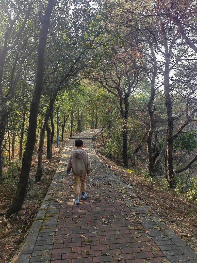 四会市天气预报，四会市天气预报变化明天没下雨-第5张图片-优品飞百科