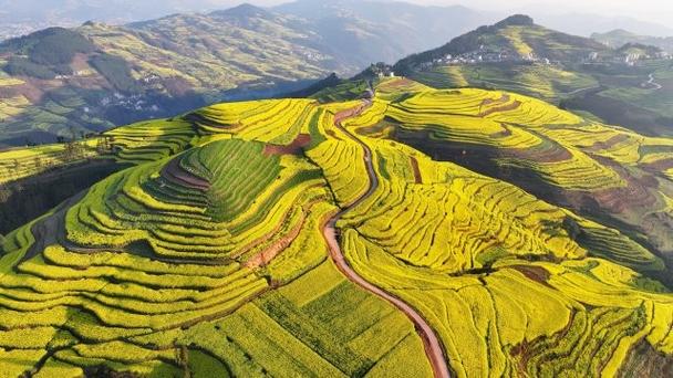 罗平县天气预报，罗平县天气预报2个月查询？-第1张图片-优品飞百科