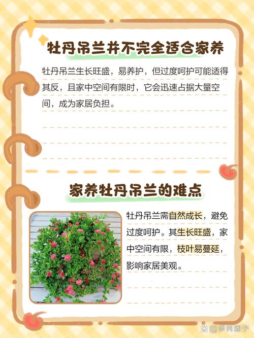 牡丹吊兰能放在卧室养吗,牡丹吊兰摆放位置-第4张图片-优品飞百科 牡丹吊兰能放在卧室养吗,牡丹吊兰摆放位置-第4张图片-优品飞百科