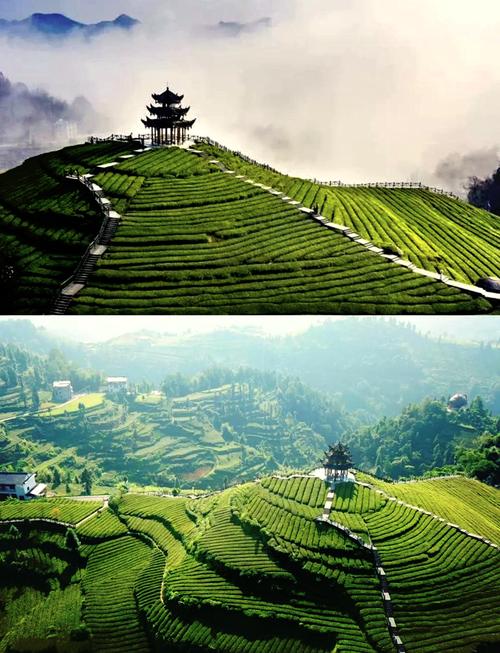 宣恩万寨天气预报,人死亡的过程-第2张图片-优品飞百科 宣恩万寨天气预报,人死亡的过程-第2张图片-优品飞百科