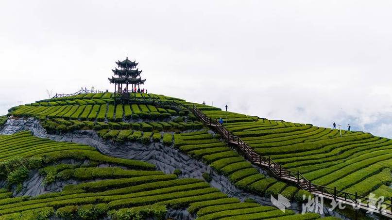 宣恩万寨天气预报,人死亡的过程-第5张图片-优品飞百科 宣恩万寨天气预报,人死亡的过程-第5张图片-优品飞百科