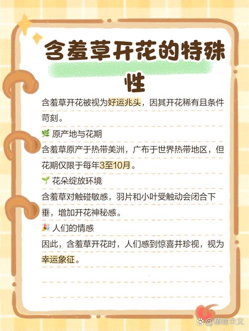 含羞草花语，含羞草开花吗，含羞草开的花长什么样？-第1张图片-优品飞百科