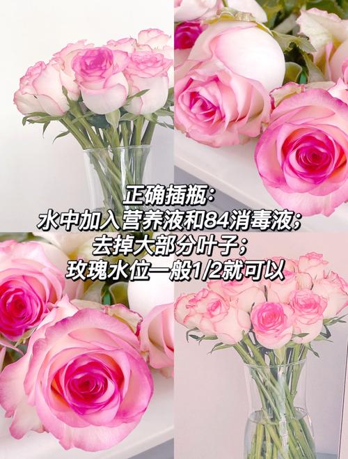 水仙百合插花欣赏?水仙百合插花怎么保持花期长?-第5张图片-优品飞百科 水仙百合插花欣赏?水仙百合插花怎么保持花期长?-第5张图片-优品飞百科