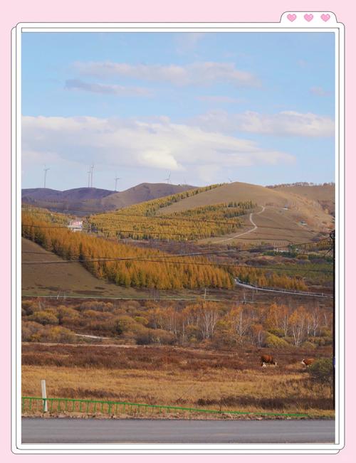 河北丰宁天气预报？河北丰宁天气预报一周？-第4张图片-优品飞百科