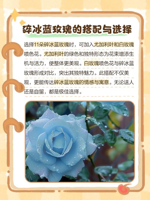 蓝色妖姬代表什么意思，蓝色妖姬表示什么-第8张图片-优品飞百科