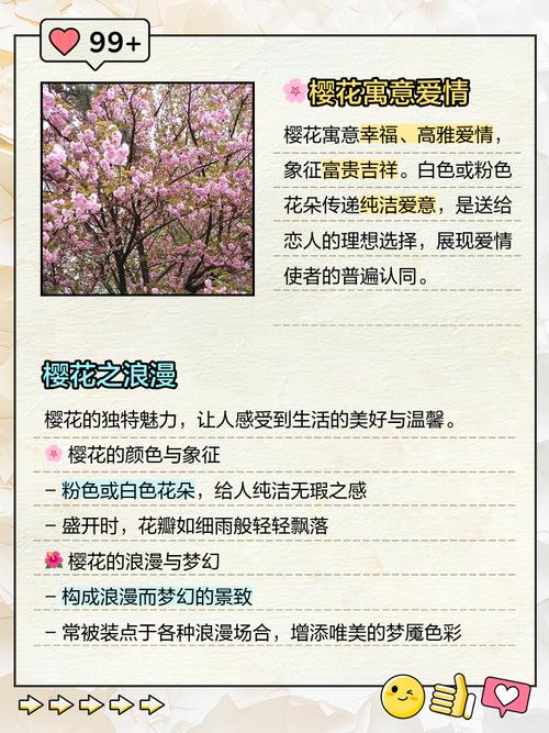 樱花的花语，樱花的花语文案-第1张图片-优品飞百科