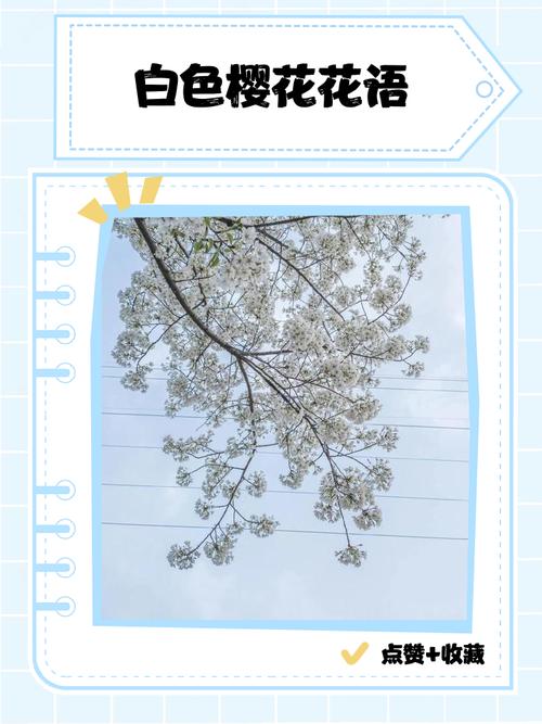 樱花的花语，樱花的花语文案-第3张图片-优品飞百科