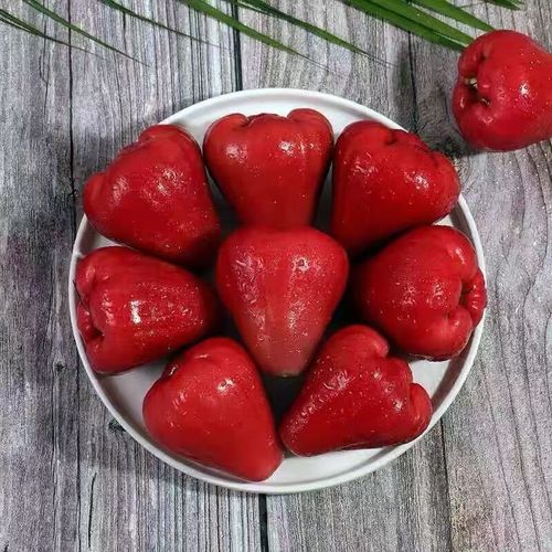 莲雾的功效与作用？泰国莲雾的功效与作用？-第6张图片-优品飞百科