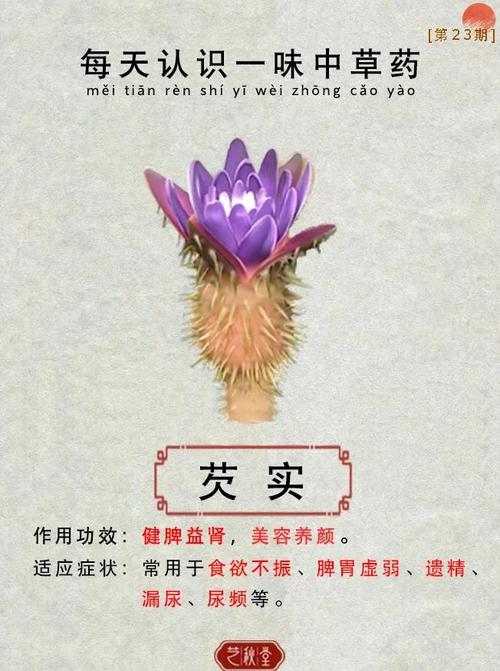 芡实的食用方法及注意事项，芡实的食用方法及注意事项有哪些？-第7张图片-优品飞百科