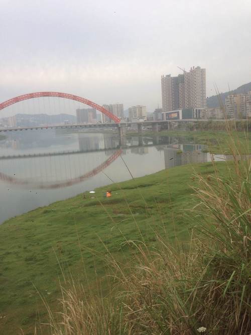 旺苍天气预报，旺苍天气预报一周15天？