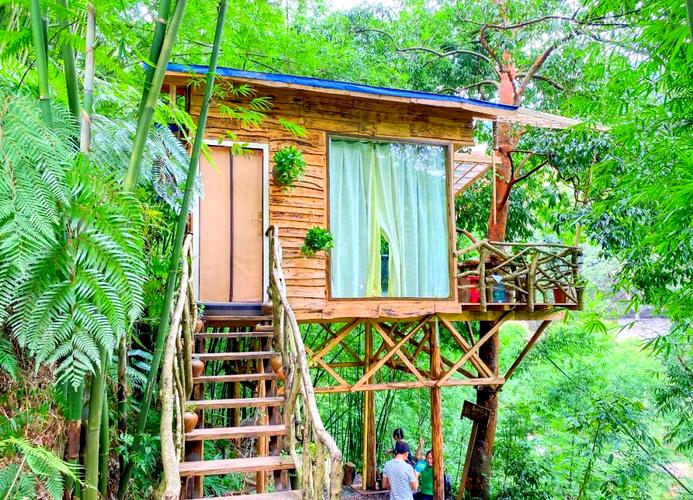 旺苍天气预报，旺苍天气预报一周15天？-第2张图片-优品飞百科