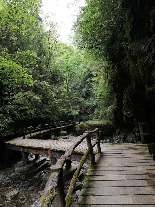 旺苍天气预报，旺苍天气预报一周15天？-第5张图片-优品飞百科