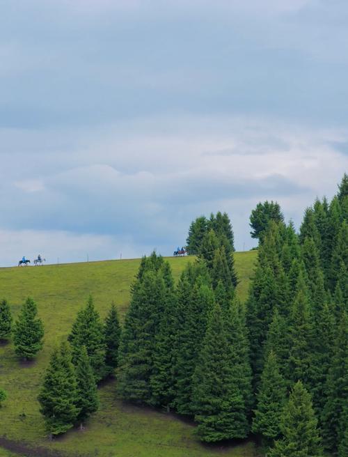 新疆特克斯县天气预报，新疆特克斯县天气预报15天-第2张图片-优品飞百科