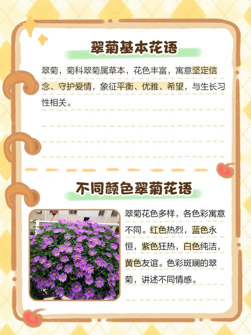 翠菊的花语？翠菊的花期？-第1张图片-优品飞百科