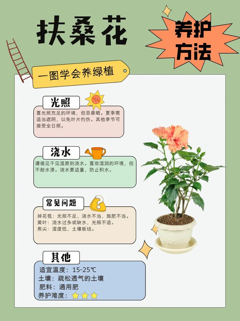 这花养1年就成墙，甲醛雾霾全不怕，瞬间变氧吧？甲醛超标花草茂盛还是枯萎？-第3张图片-优品飞百科