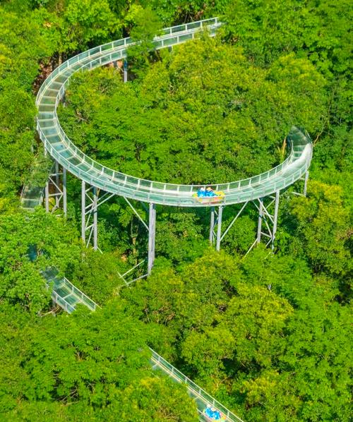 衢江区天气预报,衢江区天气预报详情-第4张图片-优品飞百科 衢江区天气预报,衢江区天气预报详情-第4张图片-优品飞百科