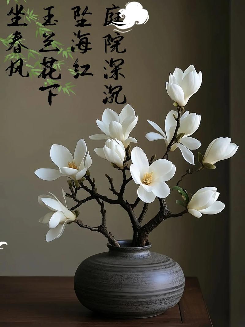 黄山玉兰的养殖方法，黄玉兰花的养殖方法-第3张图片-优品飞百科