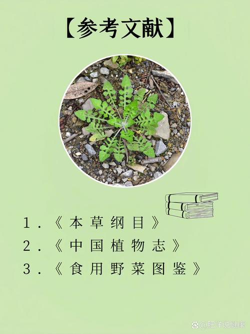 泥胡菜的养殖方法，泥胡菜的养殖方法视频-第4张图片-优品飞百科