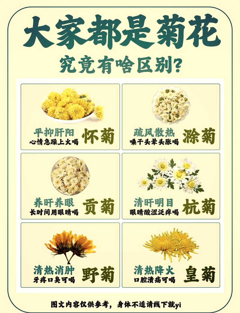 泥胡菜的养殖方法，泥胡菜的养殖方法视频-第6张图片-优品飞百科