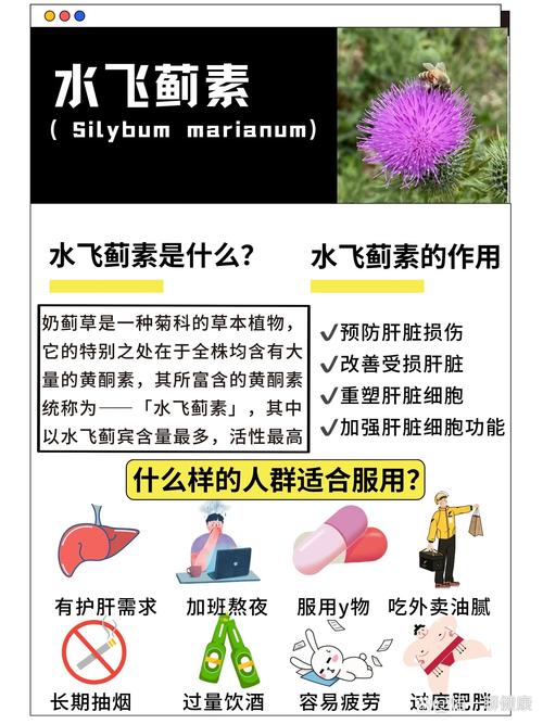 水飞蓟的养殖方法和注意事项，水飞蓟图片和功效？-第2张图片-优品飞百科