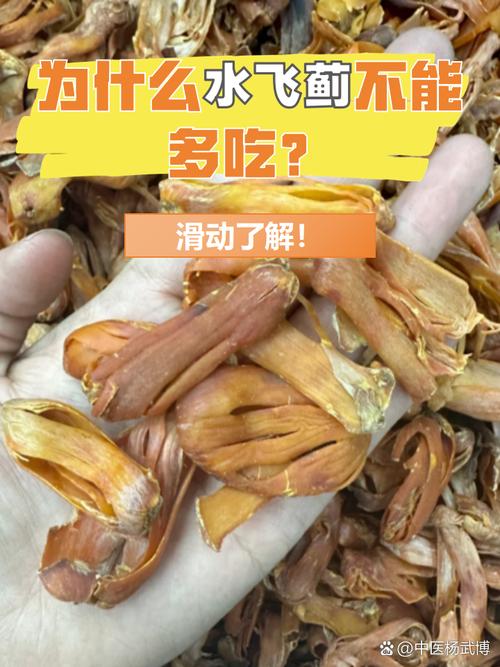 水飞蓟的养殖方法和注意事项，水飞蓟图片和功效？-第8张图片-优品飞百科