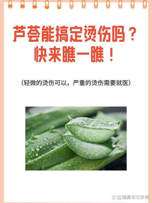 新鲜芦荟对烫伤有用吗，新鲜芦荟怎样祛痘？新鲜芦荟对治疗烫伤有用吗？-第4张图片-优品飞百科